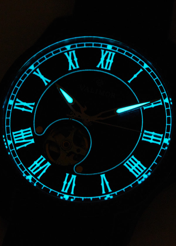 Valknut / バルクヌート 機械式腕時計 VA002C【送料無料】