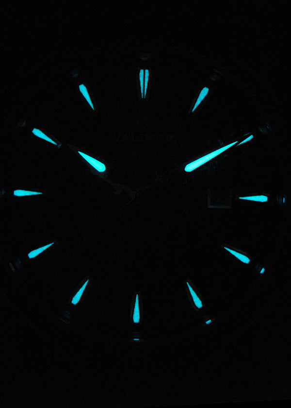 CaliburnusII / カリブルヌス セカンド 機械式腕時計 CAX01-A【送料無料】