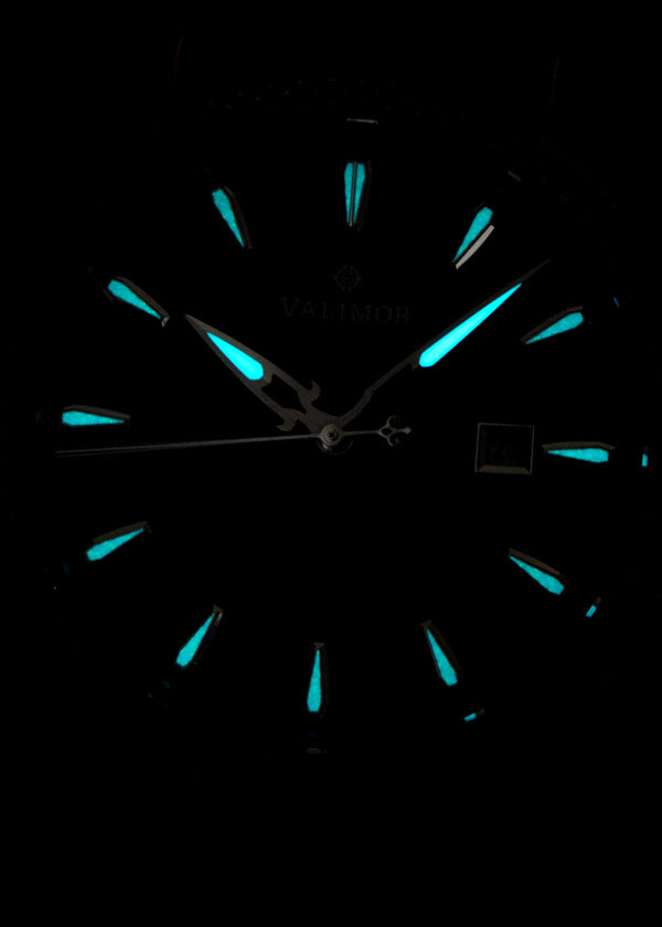 CaliburnusII / カリブルヌス セカンド 機械式腕時計 CAX01-C【送料無料】
