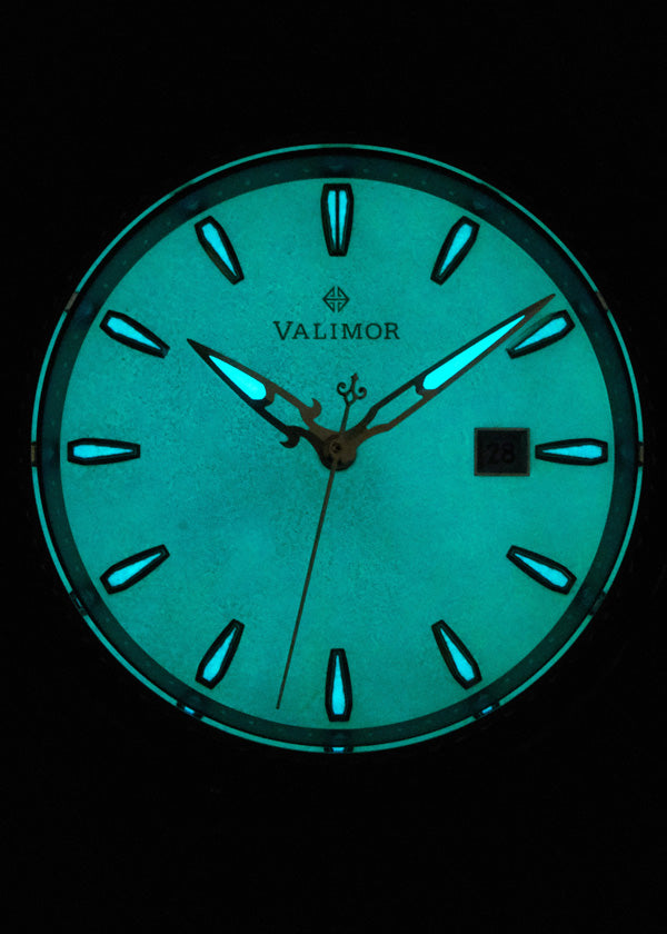 CaliburnusII / カリブルヌス セカンド 機械式腕時計 CAX01-D【送料無料】